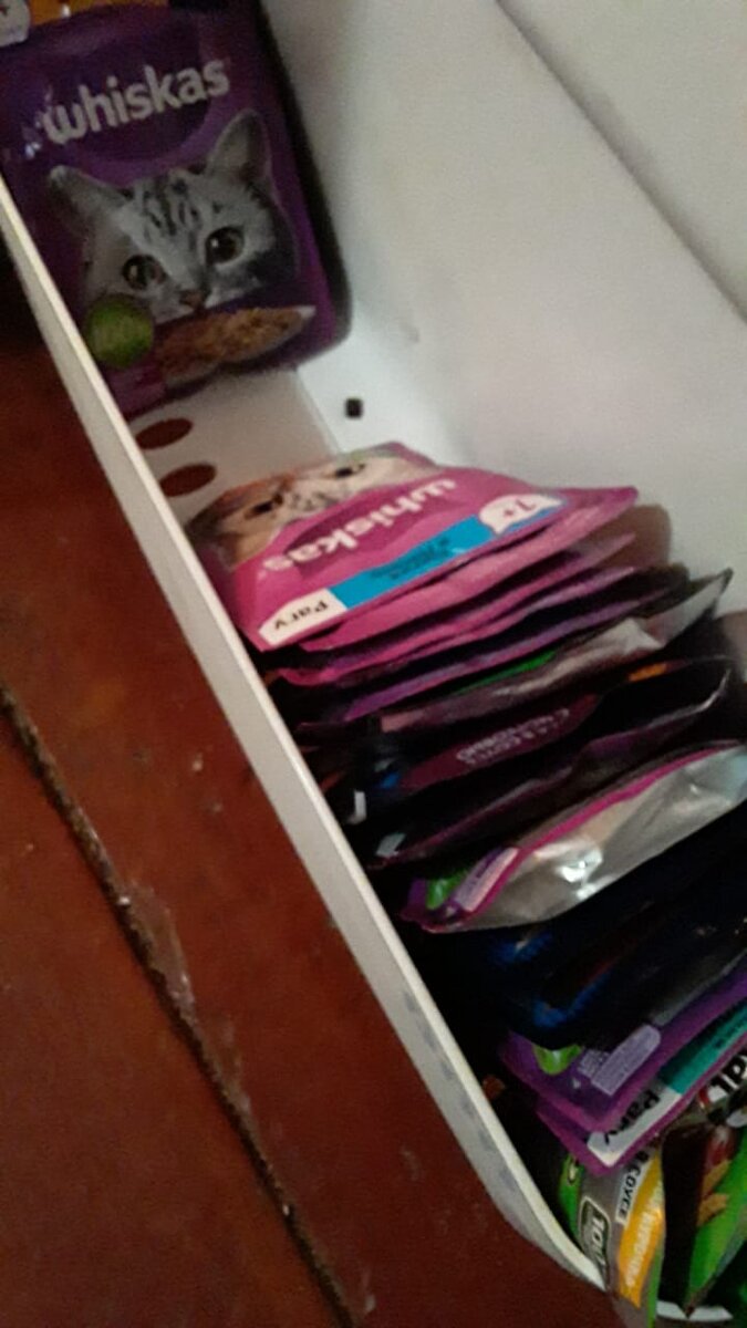 Лучше всех кушает наша Амельсина.