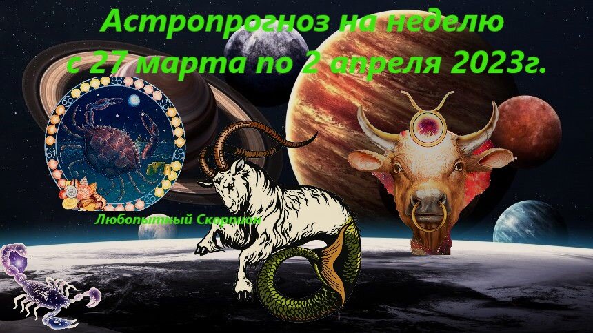 мои картинки