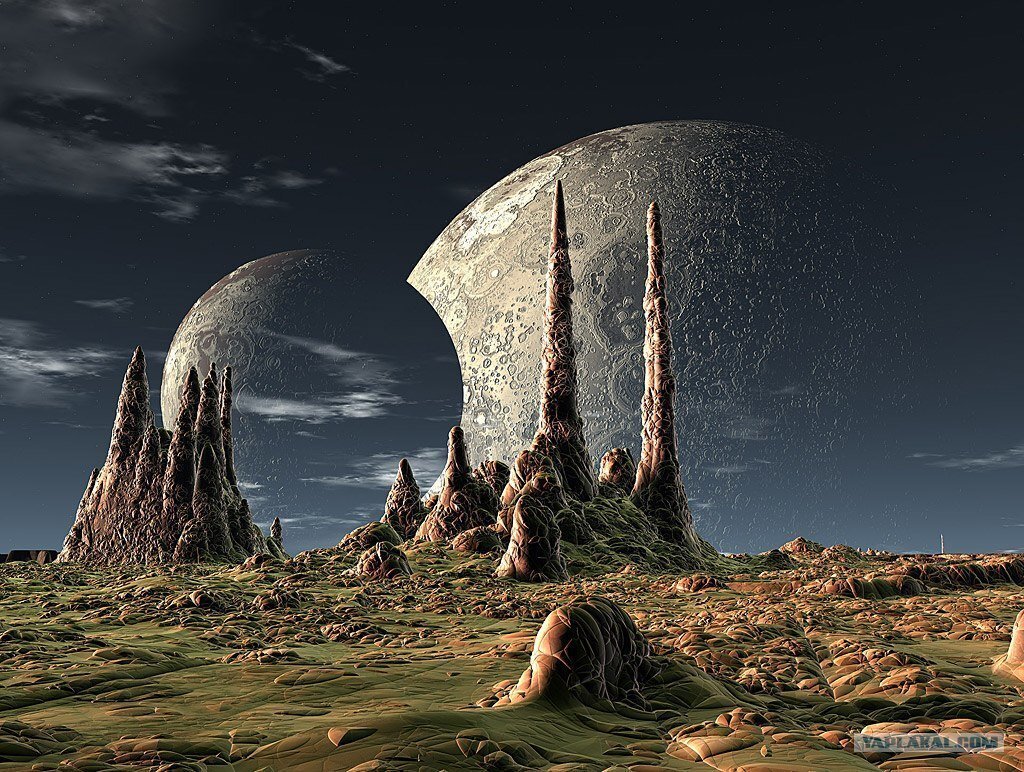 Изображение взято из открытых источников