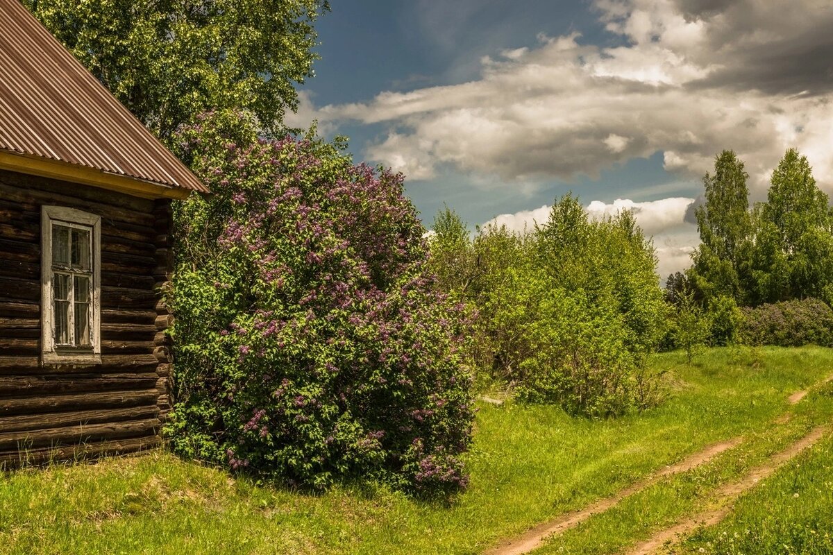 Летний день в деревне