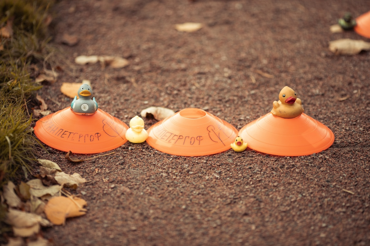 Фото Ксении Батаевой, 5 вёрст Петергоф 