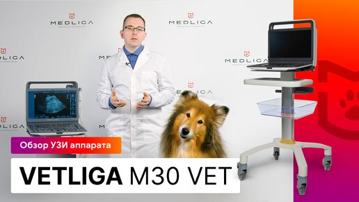 Обзор портативного УЗИ аппарата для ветеринарии VETLIGA M30Vet