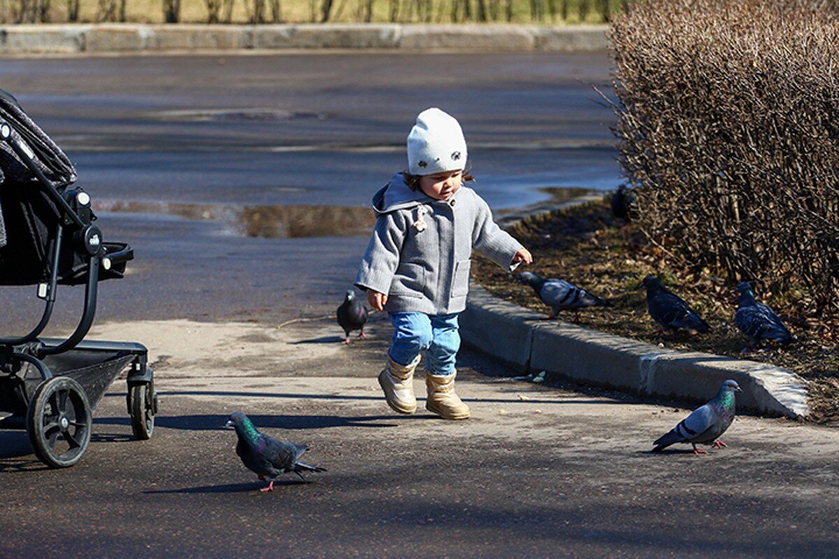    Фото: Андрей Никеричев / АГН Москва