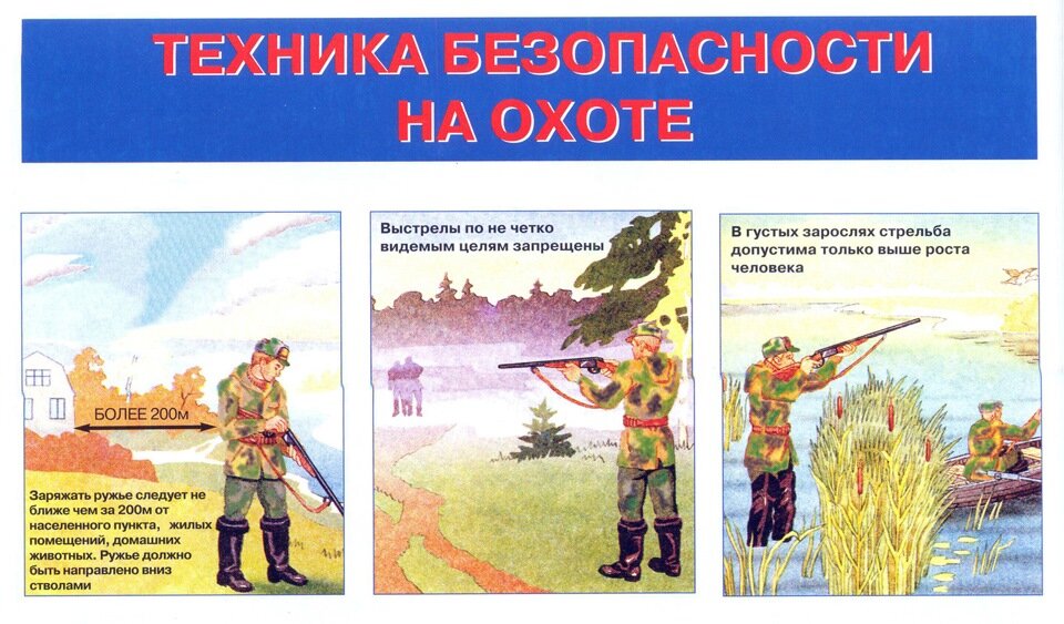 Картинка из открытых источников