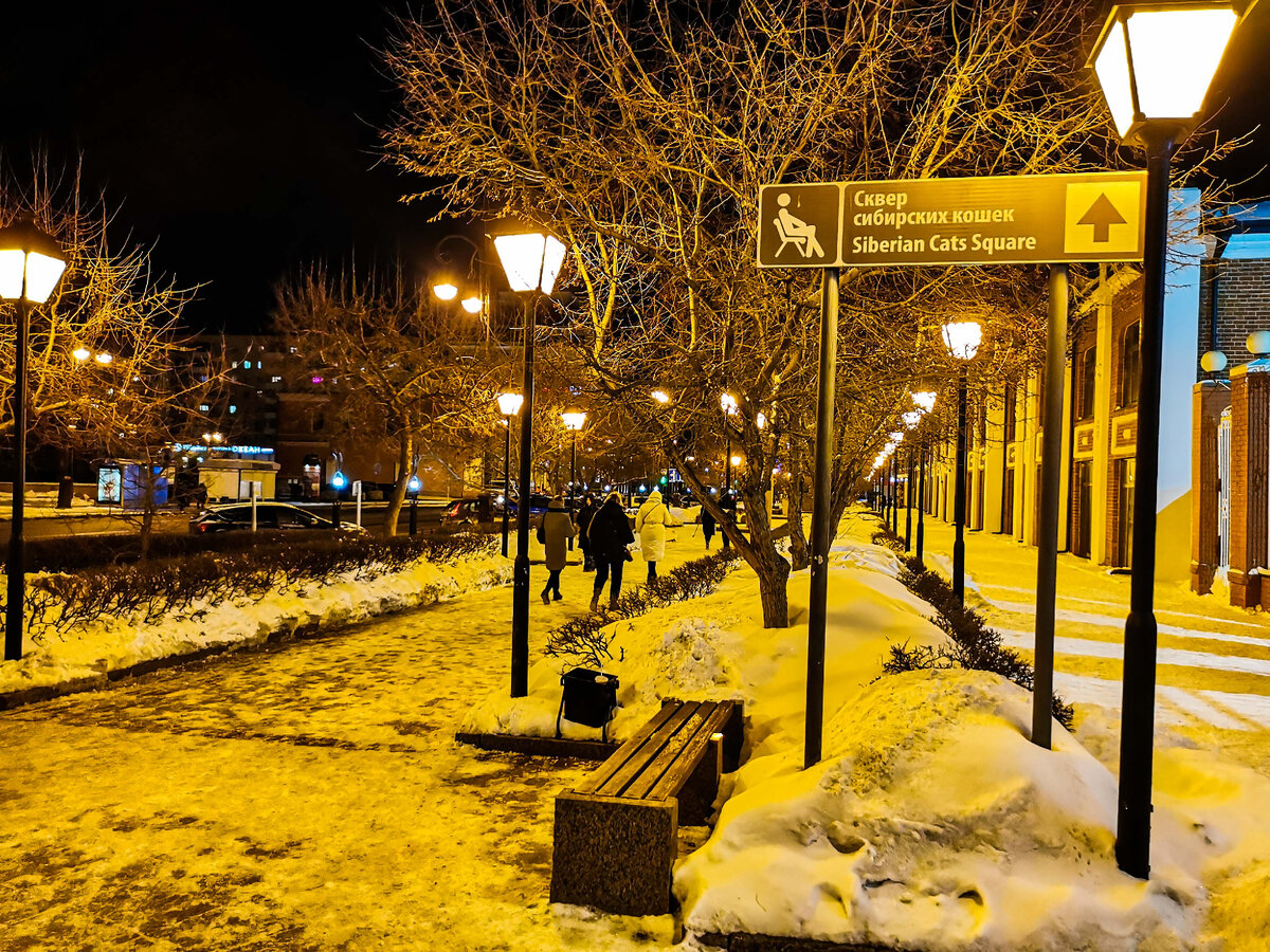 Сквер сибирских кошек. Первомайская улица.
