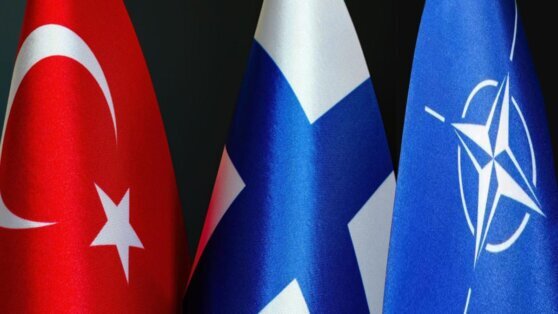    Парламент Турции одобрил протокол о вступлении Финляндии в НАТО Анна Белая