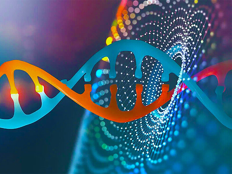 CRISPR