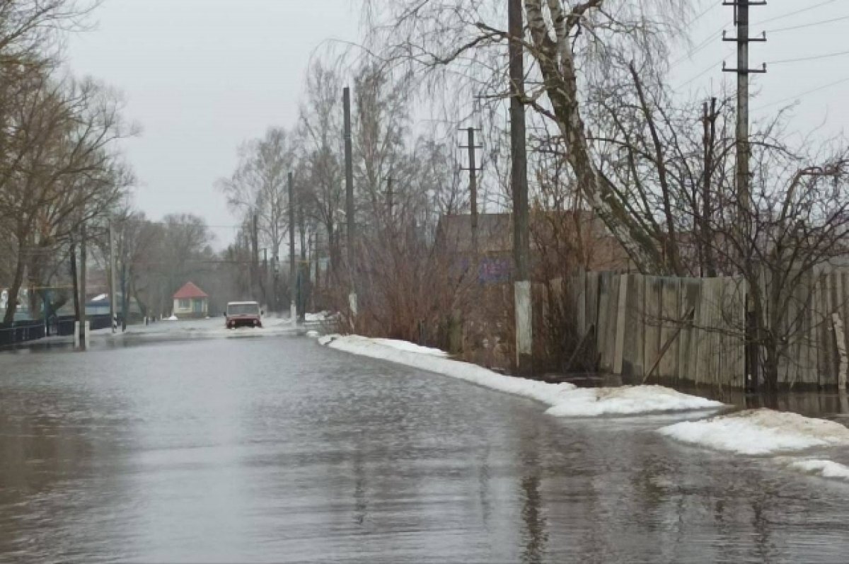    Павел Малков осмотрел подтопленные участки в Лесопарке и поселке Борки