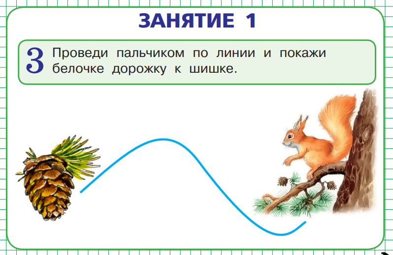 Систематические таксоны растений и животных. Состав простых и сложных белков таблица. Классификация белков по форме молекул. К простым белкам относятся. Белки выберите ответ.