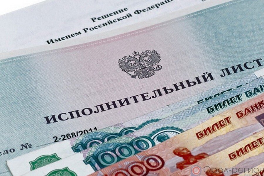 Фото с сайта https://fssp.gov.ru/ 