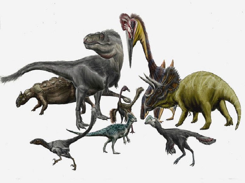Виды динозавров | Исторические факты | Дзен