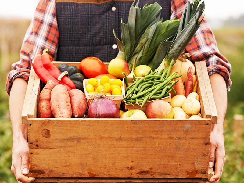 Сельское хозяйство