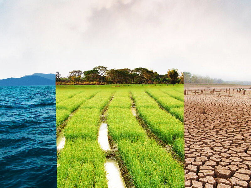 Влияние изменения климата