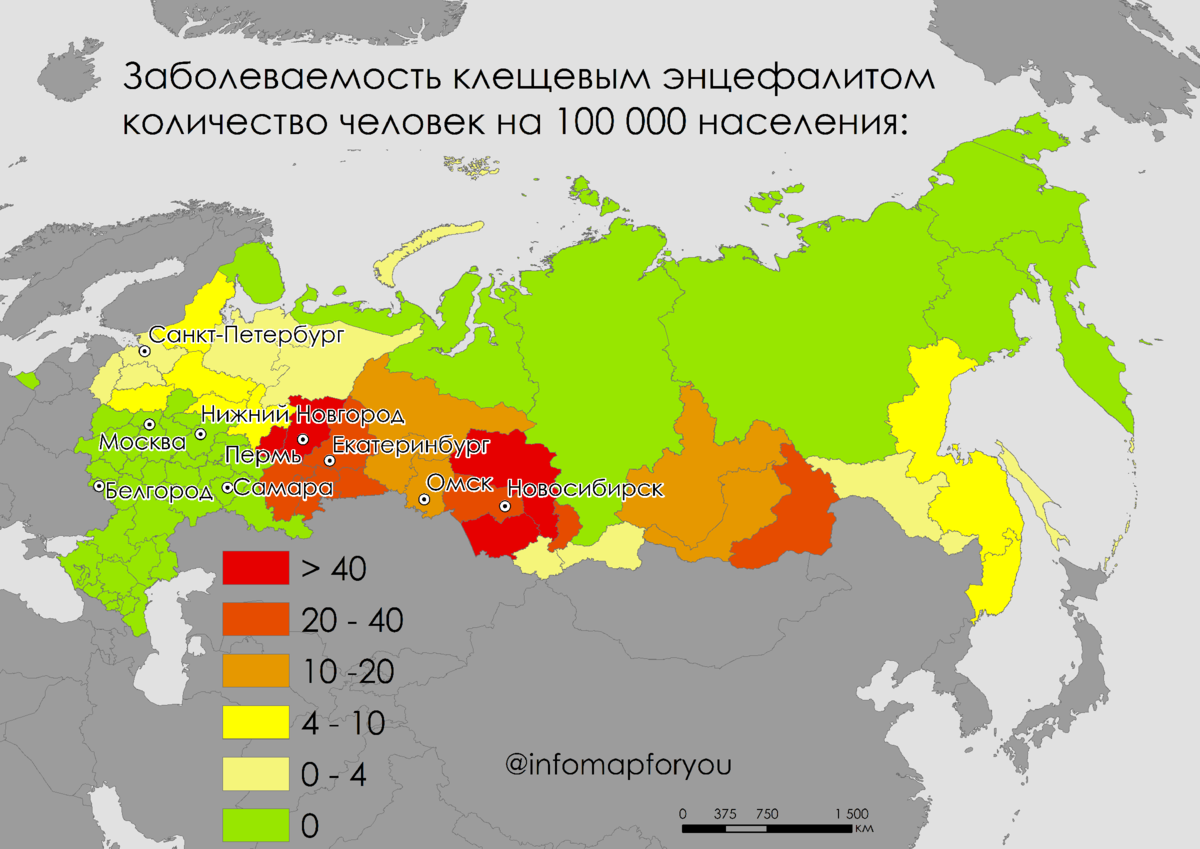 Какой процент клещей. Карта распространения клещевого энцефалита в РФ 2020. Энцефалитный клещ распространение в России по регионам. Зоны распространения энцефалитного клеща. Распространение энцефалитных клещей в России.