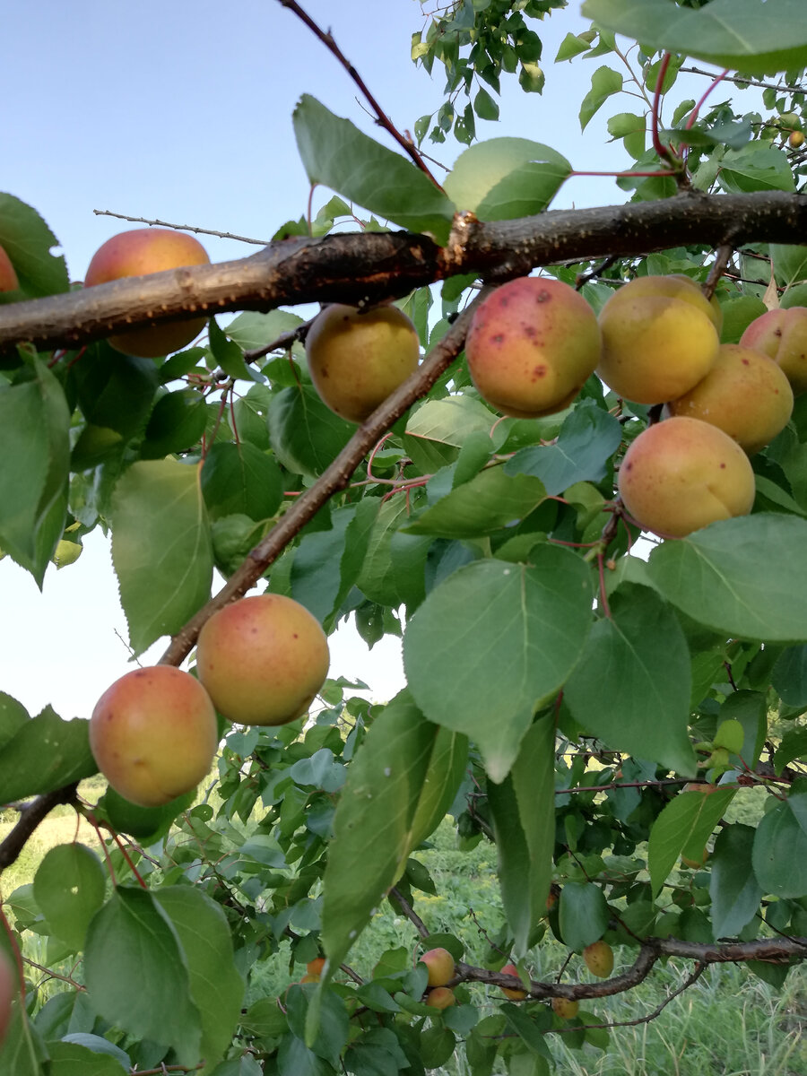Письмо подруге из прошлого | Кристина и К | Дзен