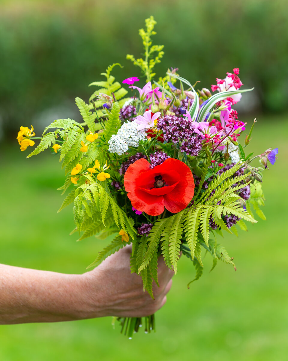 <a href="https://ru.freepik.com/free-photo/selective-focus-shot-of-someone-holding-a-bouquet-of-different-flowers-outdoors-during-daylight_13617166.htm#page=3&query=%D0%B1%D1%83%D0%BA%D0%B5%D1%82%20%D0%BF%D0%BE%D0%BB%D0%B5%D0%B2%D1%8B%D1%85%20%D1%86%D0%B2%D0%B5%D1%82%D0%BE%D0%B2&position=16&from_view=search&track=ais">Изображение от wirestock</a> на Freepik