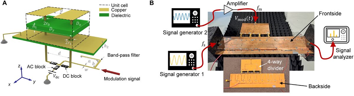   Xuchen Wang et al. / Science Advances, 2023