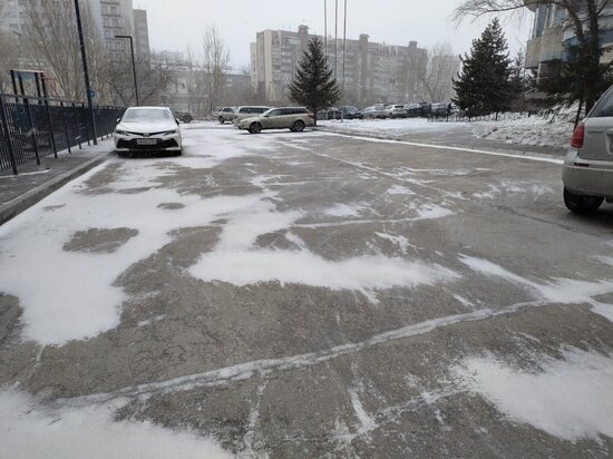     Фото: Густаво Зырянов / МК в Новосибирске