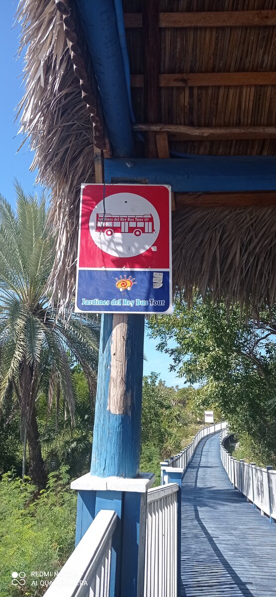 Первое, куда мы рванули - пляж Пилар, расположенный на северо-западной оконечности острова Кайо-Гильермо.
Пляж Пилар — последняя остановка этого автобуса, а билет стоит 5 CUC на весь день. 