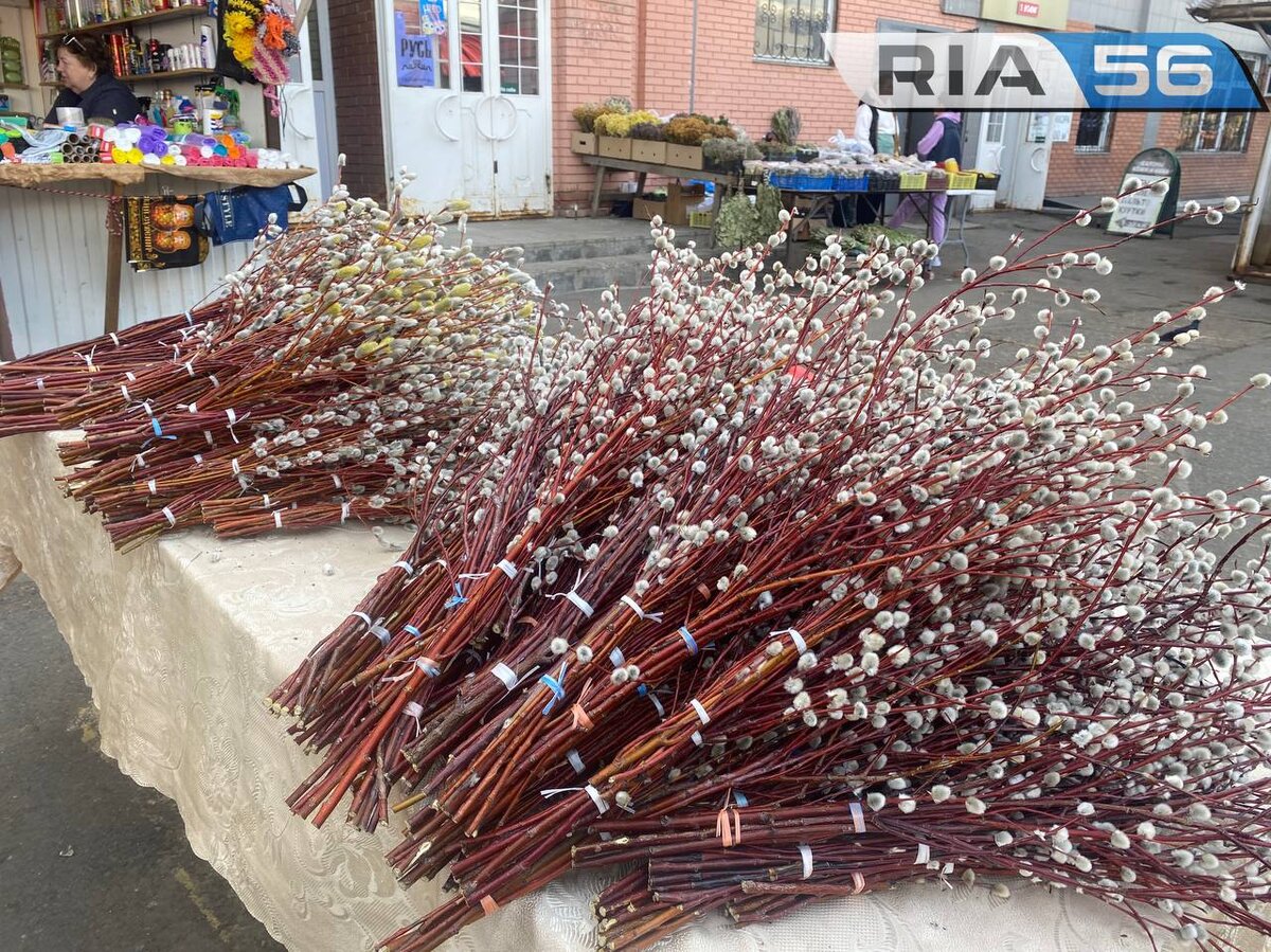    Православные оренбуржцы встречают Вербное воскресенье Белов Михаил Александрович