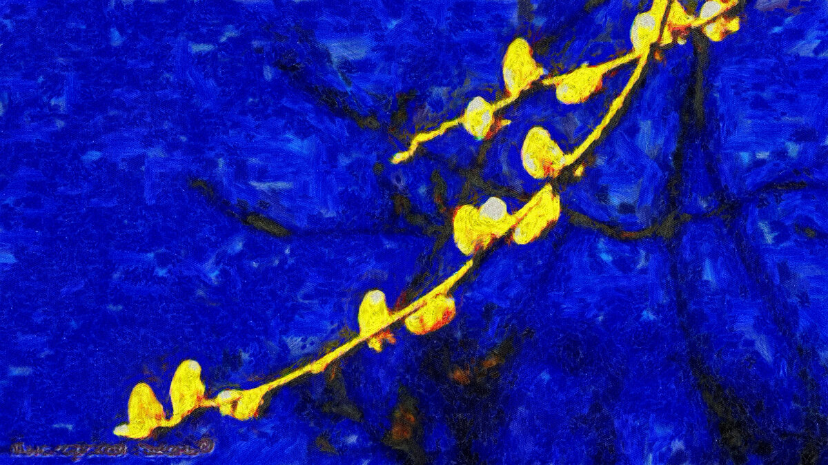 ветвь вербы с почками