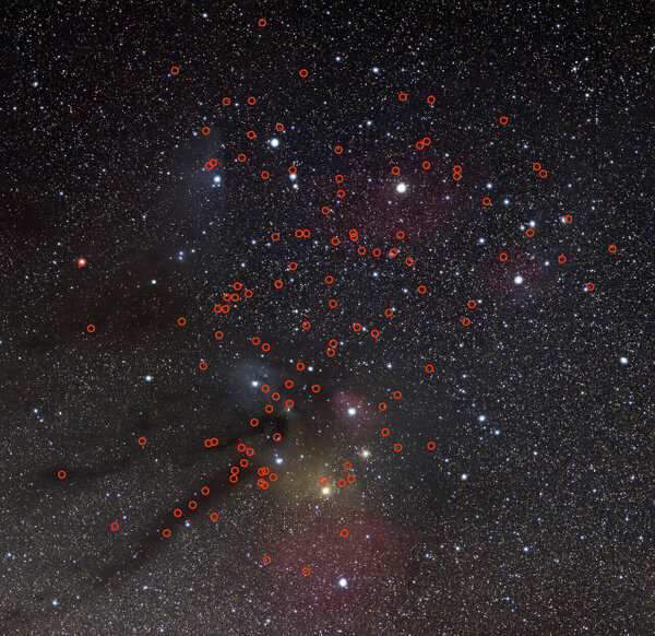 115 потенциальных планет-изгоев в скоплении звёзд в области созвездий Скорпиона и Змееносца. Фото: Европейская южная обсерватория. Фото © ESO/N. Risinger (skysurvey.org)