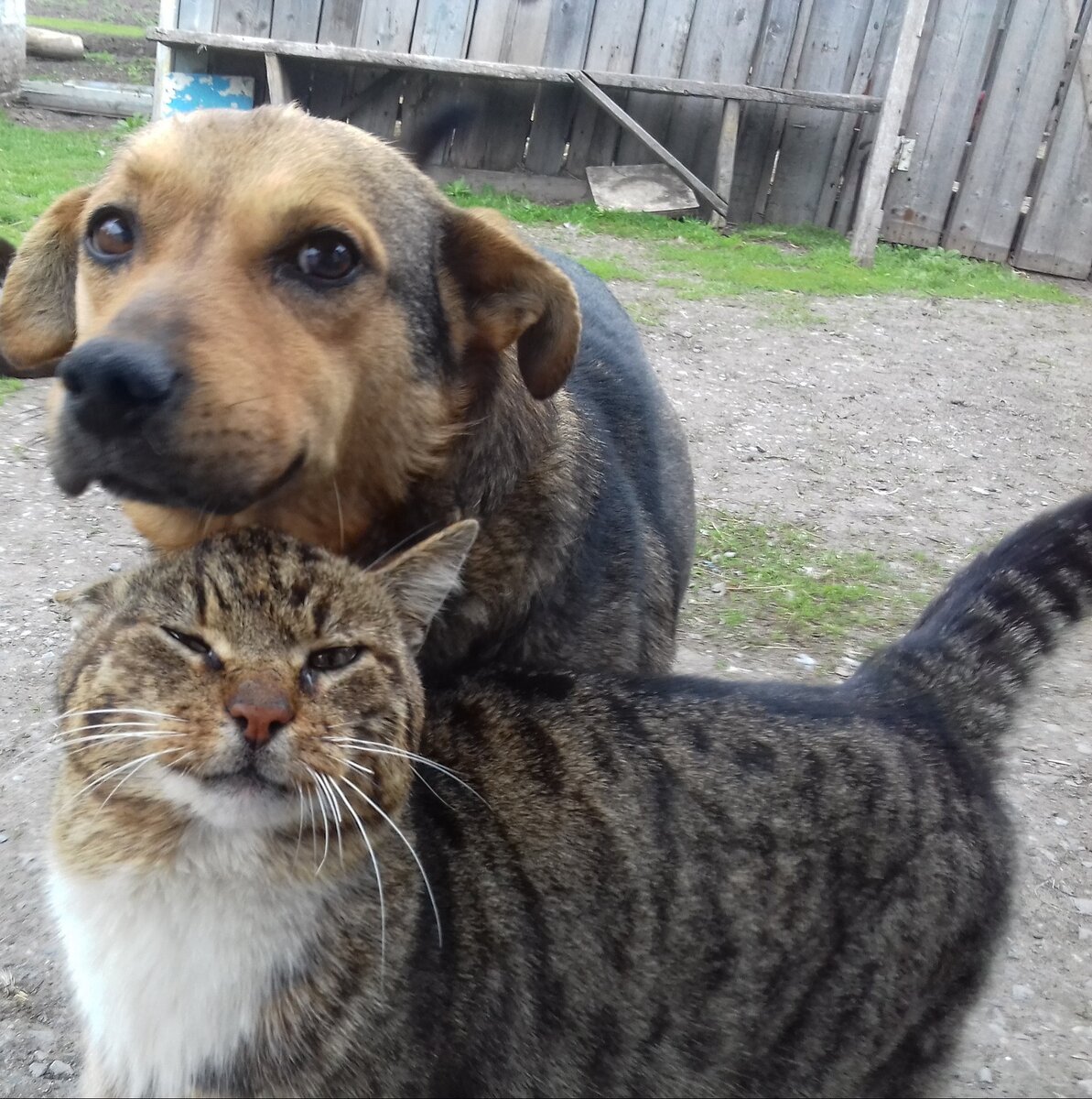 Источник: Яндекс картинки