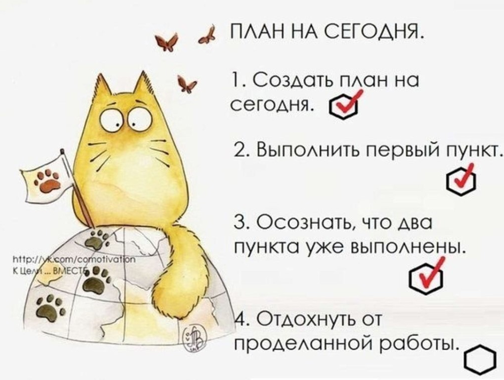 Картинки планы на сегодня прикольные