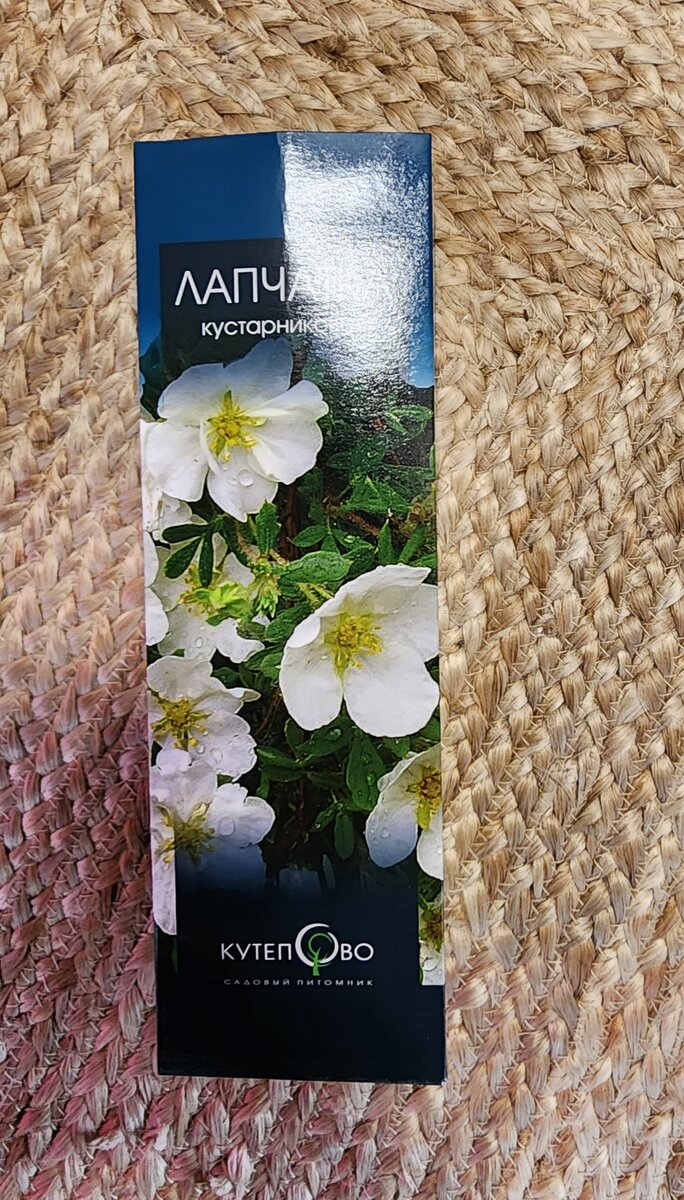 Лапчатка кустарниковая. Картинка на коробке вдохновляющая