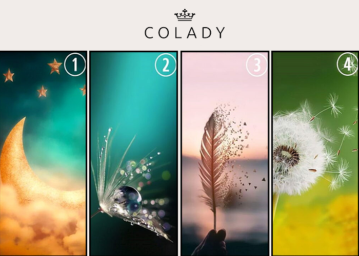 Иллюстрация COLADY от Кирилла Даниленко