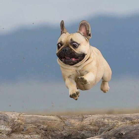 Анька ВЖУХ https://i.pinimg.com/564x/d7/30/78/d73078e3a30c6b13340bf17c4e77bde4.jpg