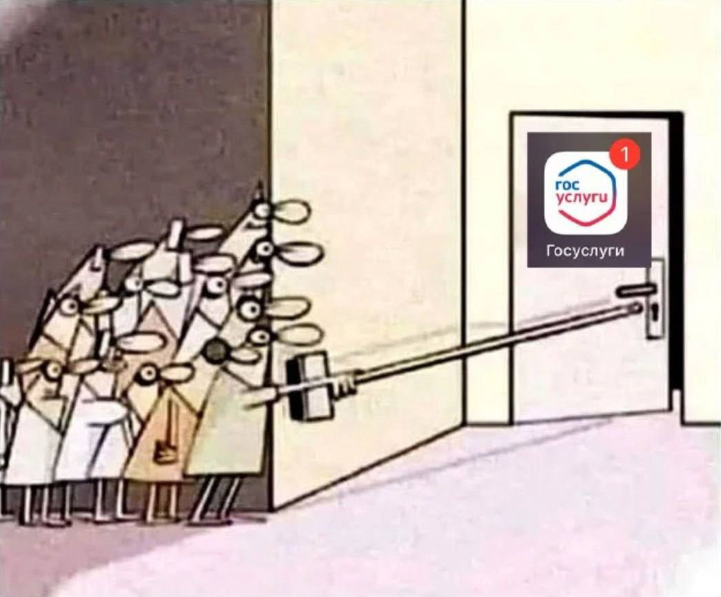 картинка из открытых источников