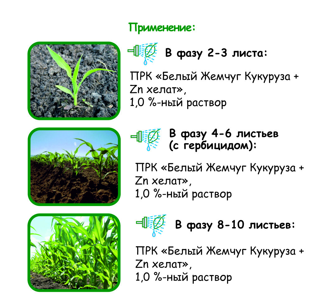 Выжившая после падения самолёта на кукурузное поле жительница Торжка рассказала о катастрофе