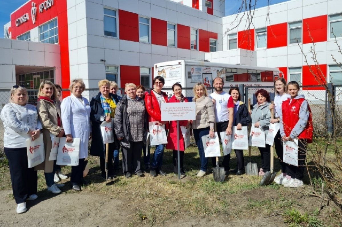    В Пензе в честь почетных доноров заложили каштановую аллею