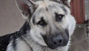 с просторов интернета для иллюстрации