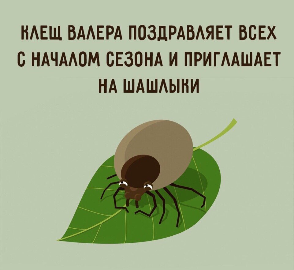 Клещ не вещь, к кому упал - тот и пропал... | Уфамама | Дзен