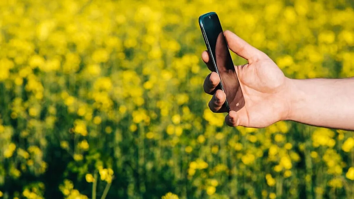 Можно ли удалить Госуслуги, отключить уведомления. Фото: www.piqsels.com