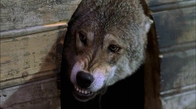 Кадр из фильма "Весьегонская волчица"