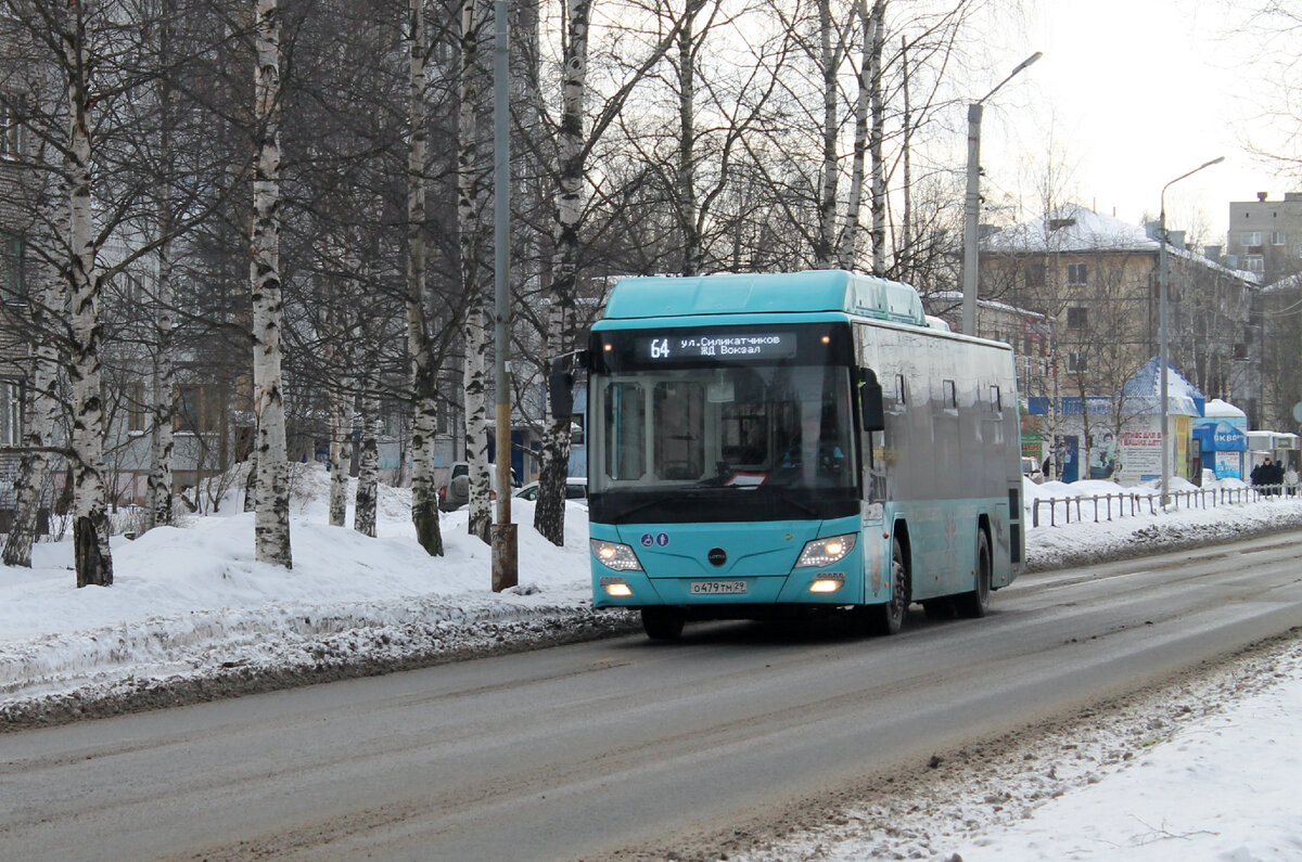 Автобус Lotos-105: 