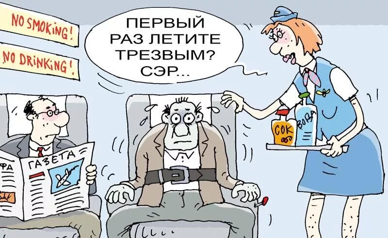 Изображение  взято из Интернета.