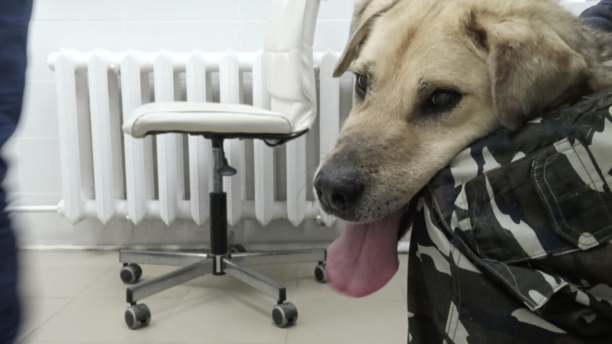 Уже в клинике, ждем, когда нас осмотрит доктор Айболит