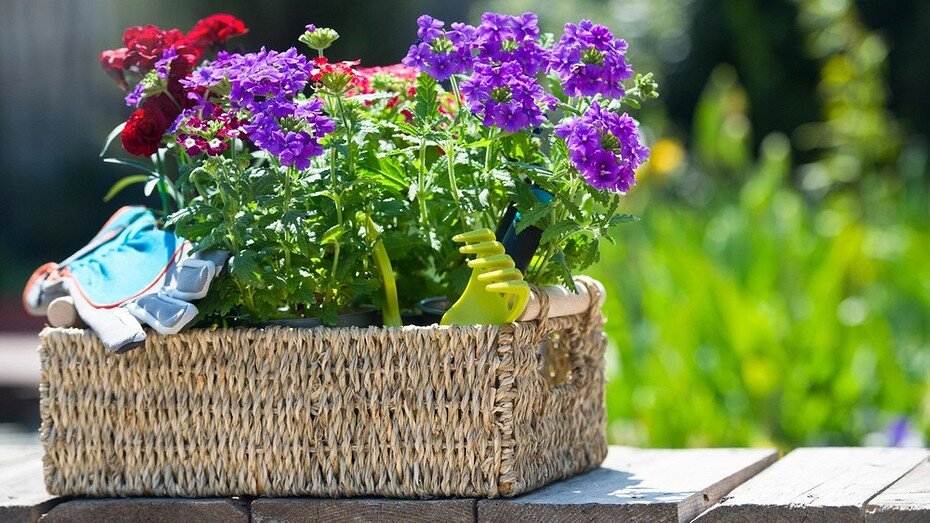 ShutterStock/Fotodom.ru 