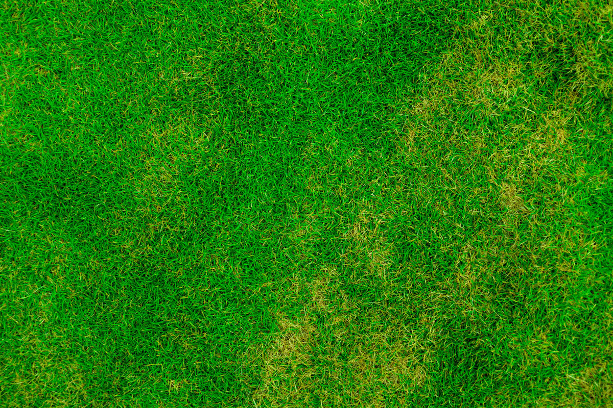    Фото: PublicDomainPictures / Pixabay.com