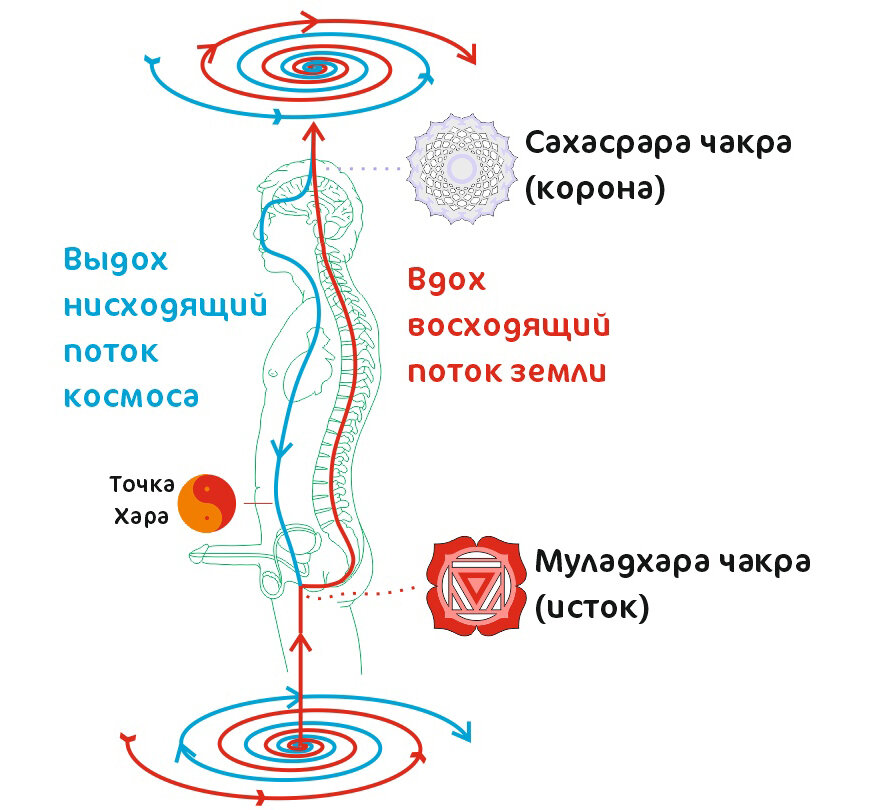 Схема против потока