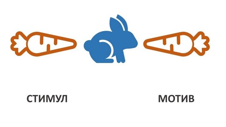 Картинка стимул и мотивация