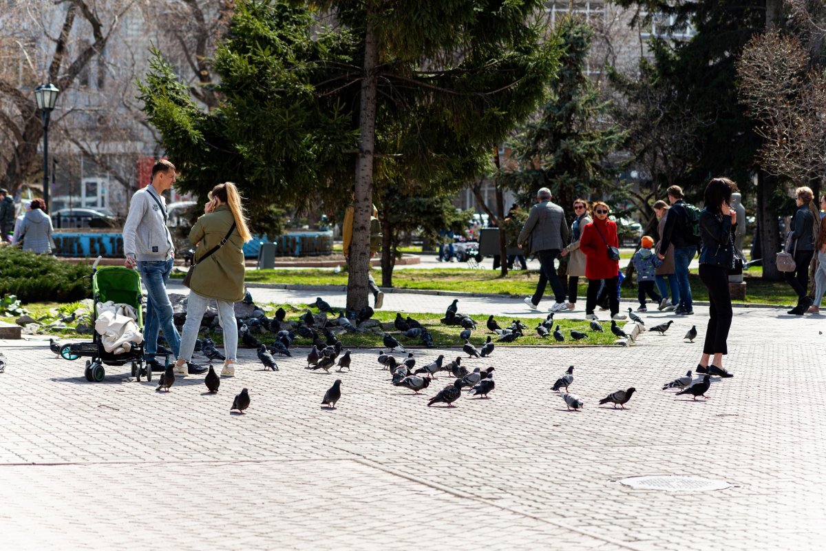    В Новосибирске опубликован точный прогноз погоды на первую неделю мая