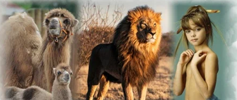 Три превращения