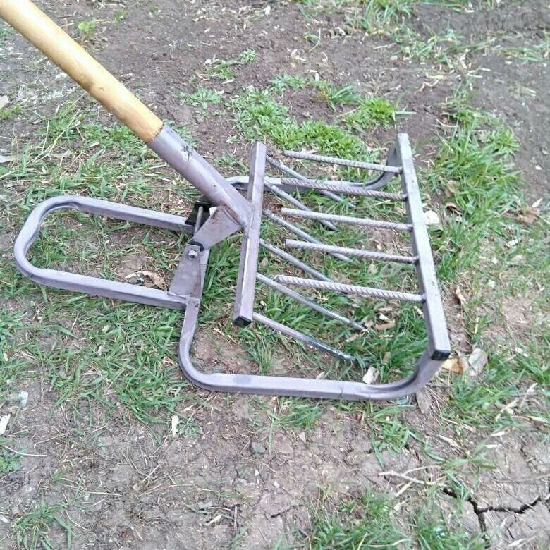 Фото из интернета.