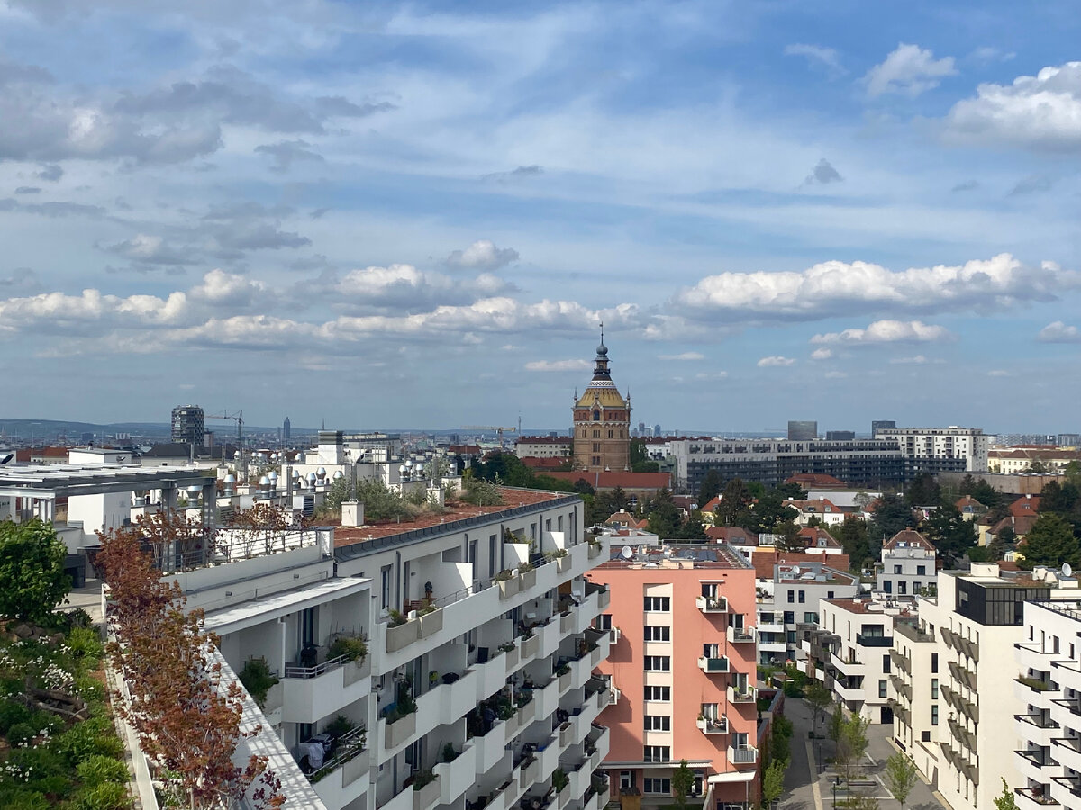 С крыши открывается прекрасный вид на водонапорную башню Фаворитен, которой я посвятила отдельную статью