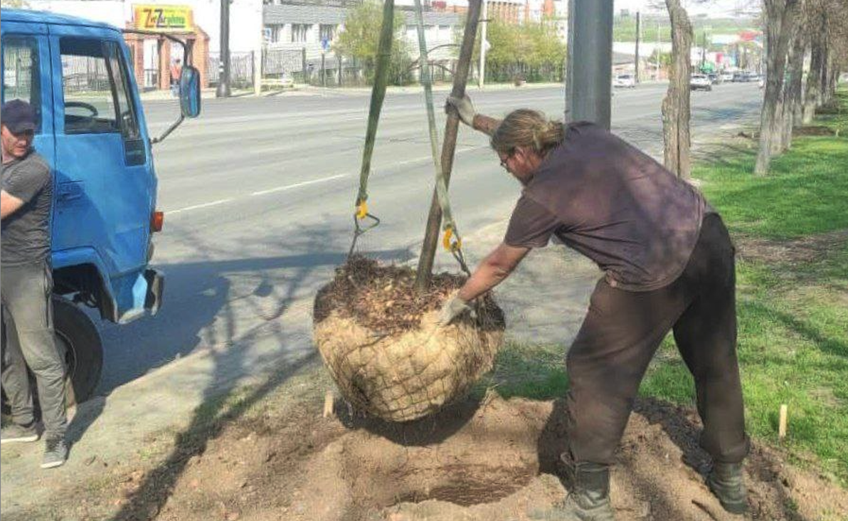 Фото: пресс-служба администрации Челябинска 